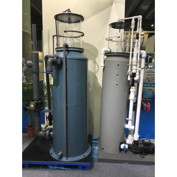 蛋白分離器